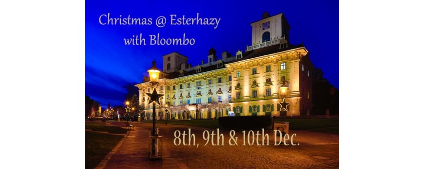 2017.12.08-10: Bloombo @ Schloss Esterhazy Christmas Market, Eisenstadt 